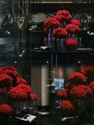 安娜绣球木绣球大叶永生花