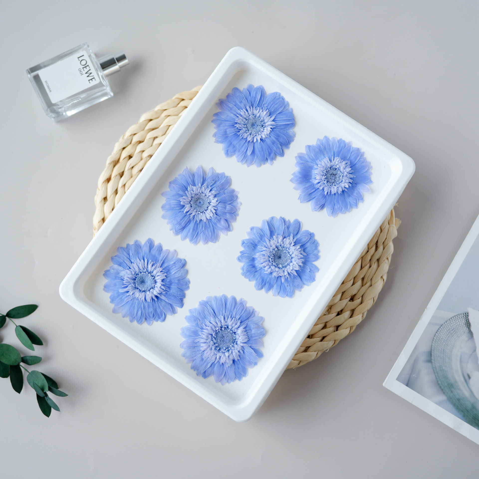 小雅家永生爱玛非洲菊6朵diy手工教师节礼品玻璃罩相框装饰画真花,鲜花速递/花卉仿真/绿植园艺,永生花,淘宝优惠券,粉丝福利购,淘宝优惠卷