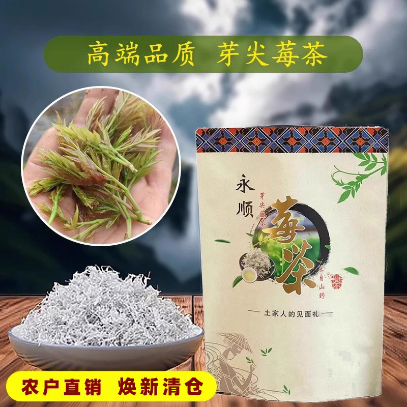 正宗农家高山霉茶2026张家界莓茶正品龙须芽尖霉茶土特产农户直销