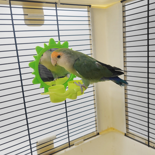 虎皮牡丹玄凤鹦鹉文蜡嘴雀鸟笼子装饰攀爬镜子乐趣益智玩具食盒