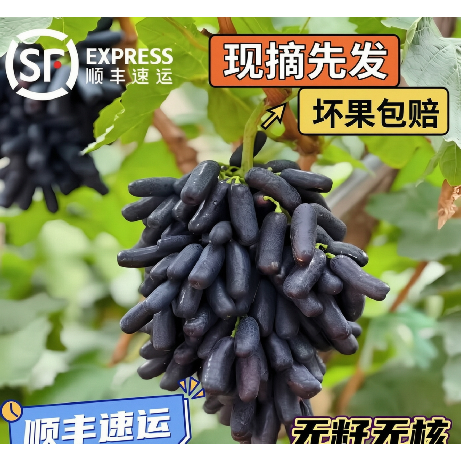 云南美人指黑提子,好吃也甜