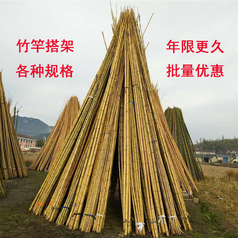 户外竹竿爬藤架装饰竹子黄瓜架蔬菜架搭棚菜园架子月季爬藤竹竿