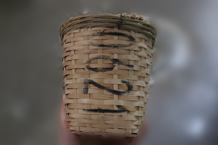 1998年老外贸六堡茶 干净醇厚 细腻绵甜 陈年老茶 500克一筐 好茶