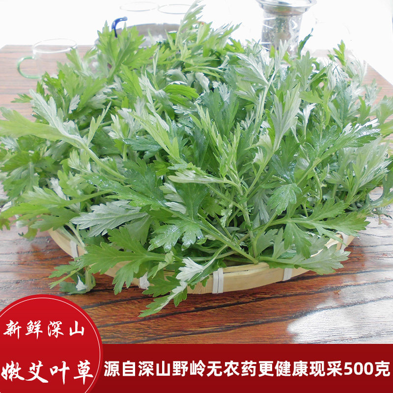嫩艾草蔬菜艾叶深山煲汤糍粑艾蒿中草药材现摘艾叶草新鲜食用汤料