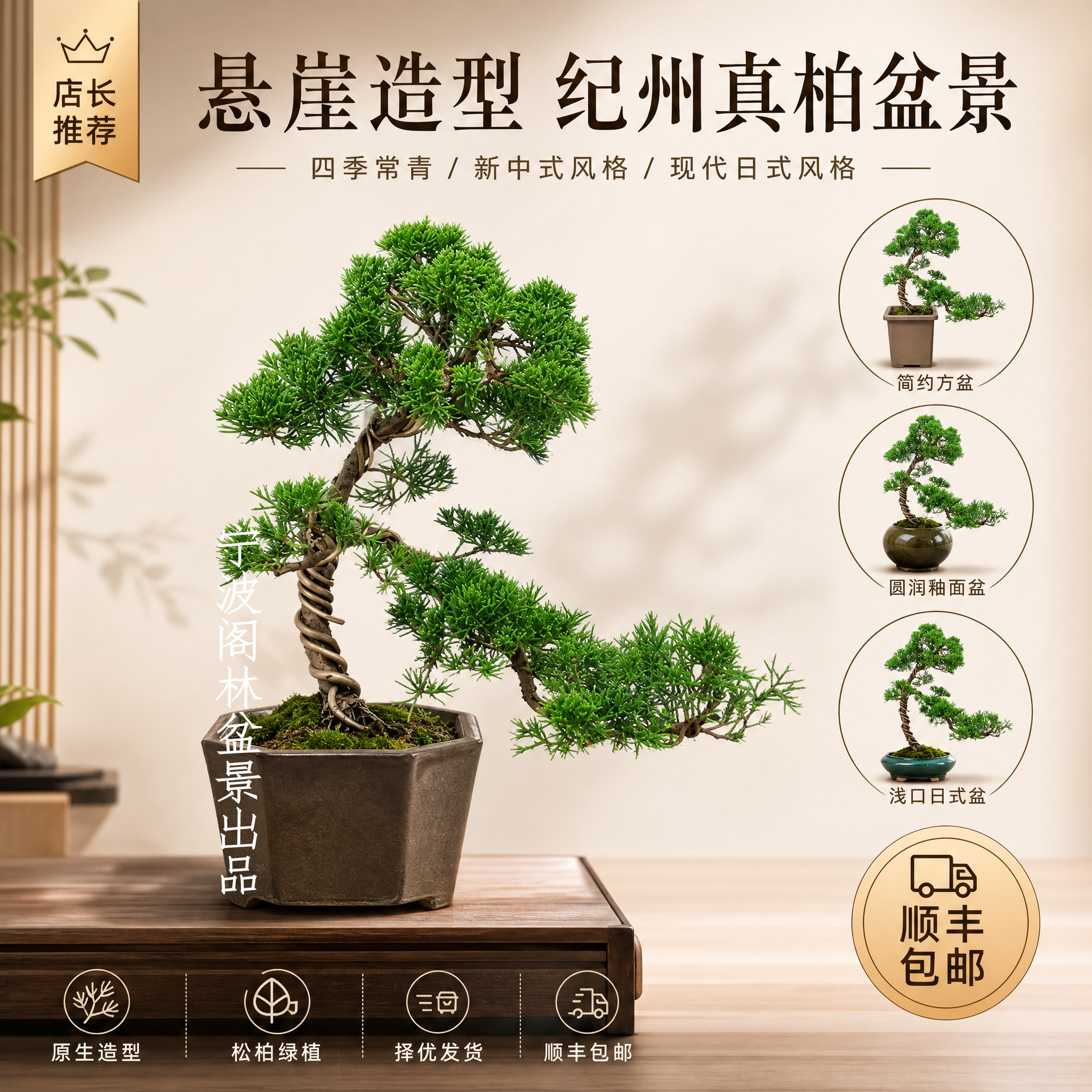 悬崖真柏盆景室外庭院常青树顺丰