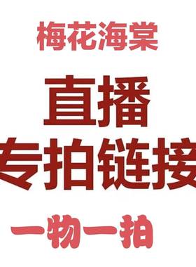 冬季耐寒植物朱砂梅海棠花绿梅庭院植物绿鄂白梅骨里红梅冬红果海
