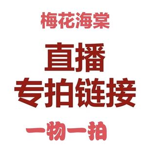 冬季耐寒植物朱砂梅海棠花绿梅庭院植物绿鄂白梅骨里红梅冬红果海