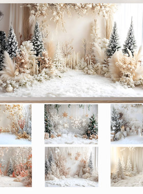 圣诞节冬季氛围感小清新圣诞树造景装饰背景布节日儿童拍照挂布