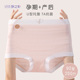 女纯棉裆三角短裤 孕之彩孕妇内裤 高腰托腹怀孕期专用孕全期大码