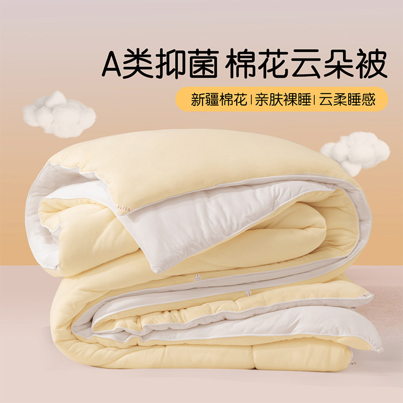 百丽丝家纺 云朵朵棉花抗菌冬厚被A类抗菌冬被单双人被子被芯床品