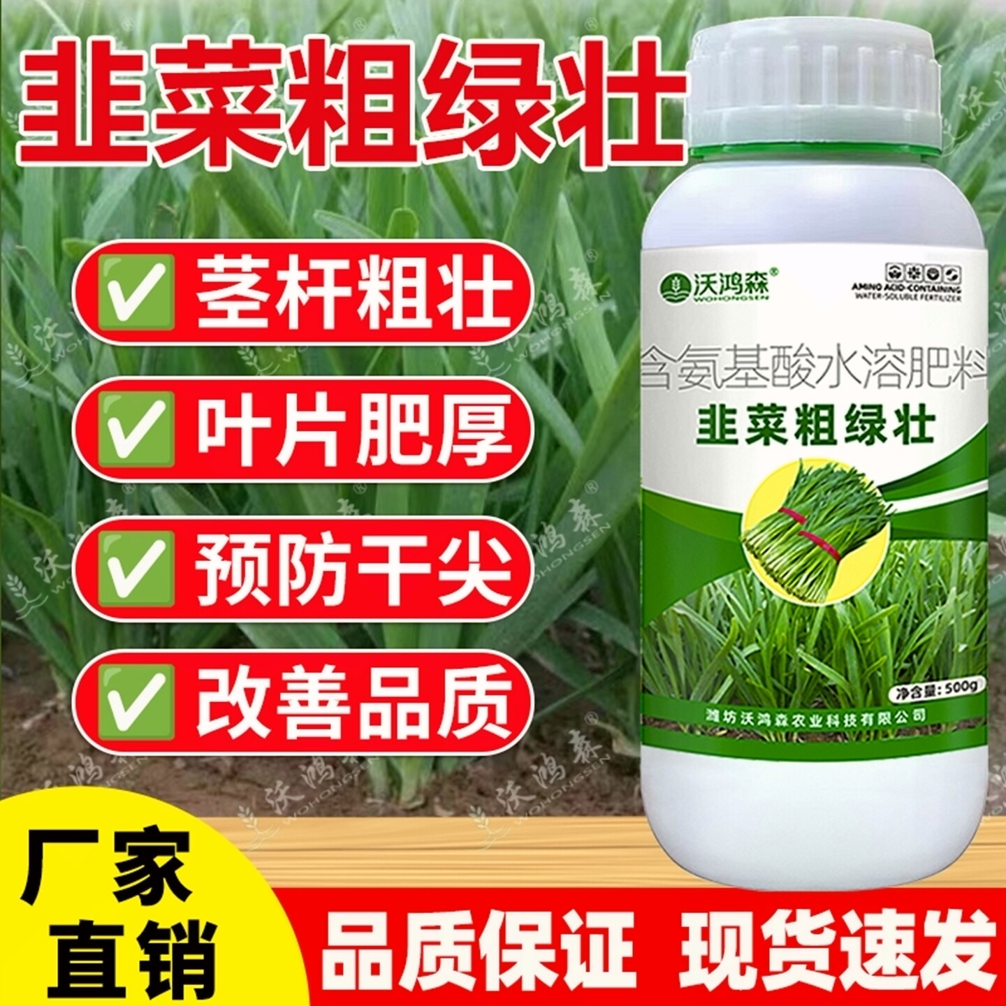 韭菜粗绿壮氨基酸水溶肥料预防干尖改善品质促光合韭菜专用叶面肥