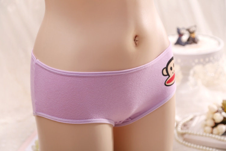 Slip jeunesse en coton - Ref 646497 Image 3