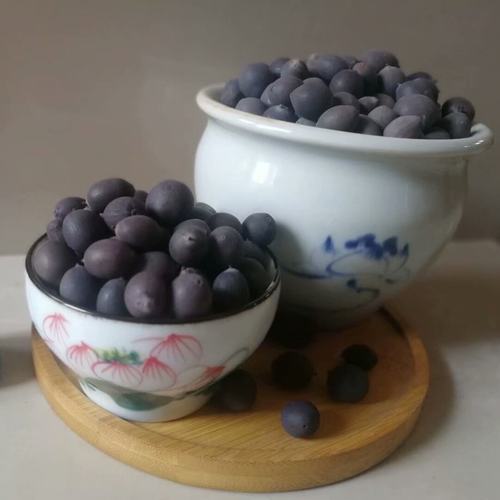 自收真碗莲种子！盆栽丰花莲子