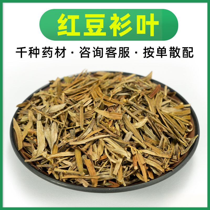 红豆杉 100g 南方红豆杉叶 中药材草药大全 精选道地药材红豆衫