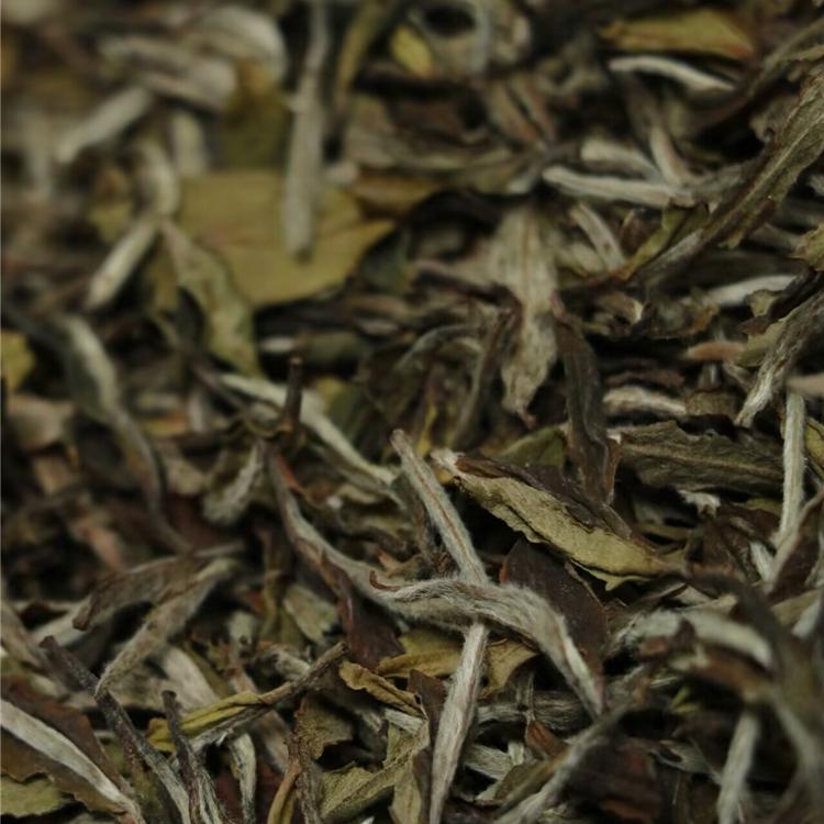 2018年荒放牡丹福鼎白茶春茶散茶 华茶一号 散称50克