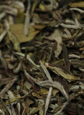 2018年荒放牡丹福鼎的白茶春茶散茶 华茶一号 散称50克