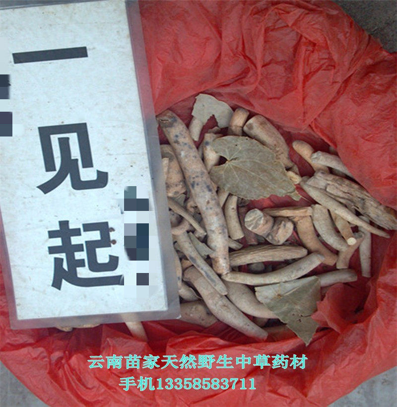 一见起：云南苗药腾冲苗家特产野生中药材中草药500克泡酒料药酒