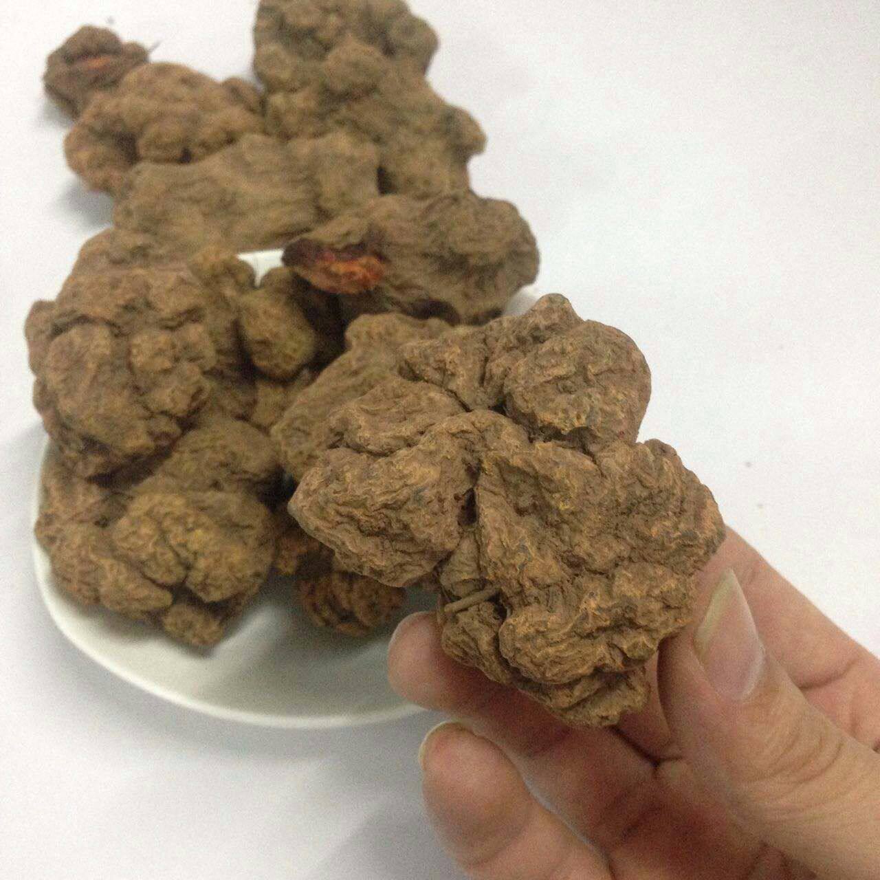 云南正宗雪三七大血三七腾冲特产泡药酒料中草药材正品