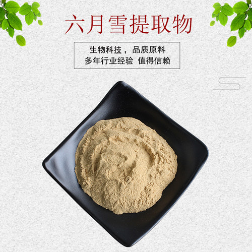 六月雪提取物30:1六月雪粉 水溶无沉淀 量大从优 资质齐全 包邮