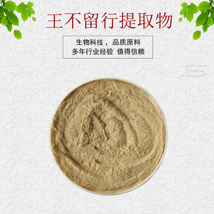 王不留行提取物 20:1王不留行皂甙 王不留行原粉 麦蓝菜籽 包邮
