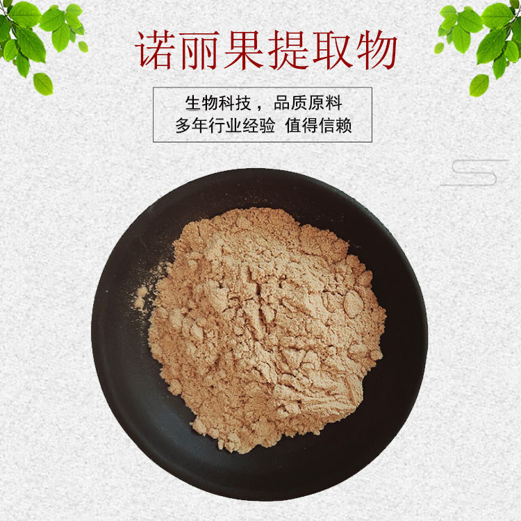 诺丽果提取物诺丽果粉