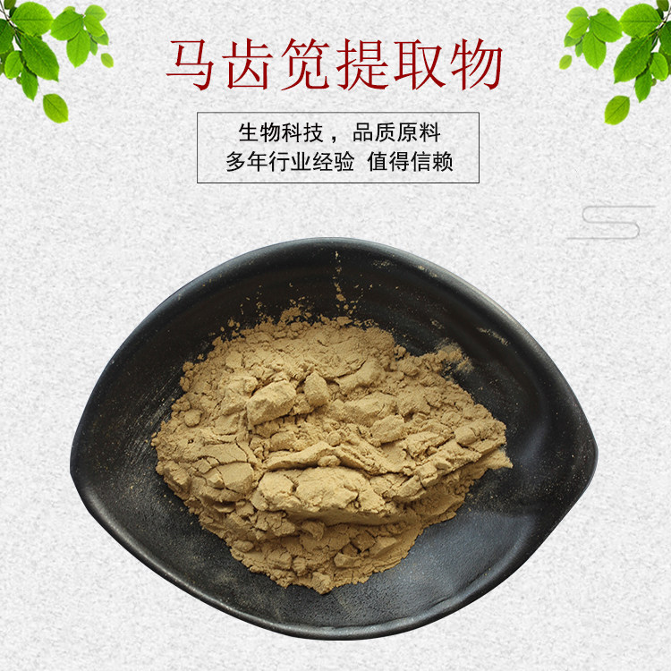 马齿笕提取物30:1 水溶性佳 马齿笕粉 量大从优 资质齐全 包邮