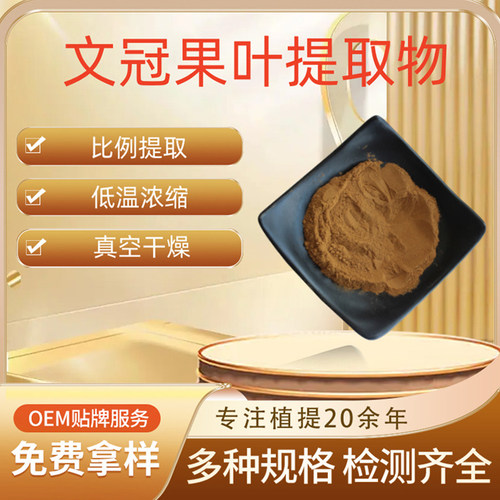 文冠果叶提取物30:1 新食品原料 文冠果叶浓缩粉 低温浓缩 包邮