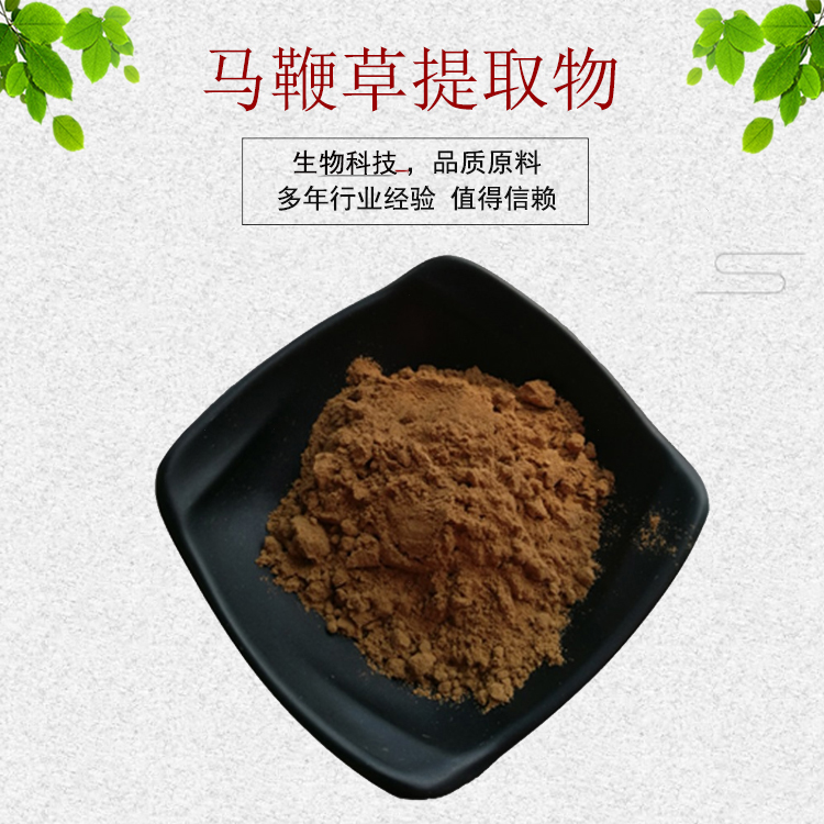 马鞭草提取物30:1马鞭草粉植物提取物量大从优资质齐全包邮-封面