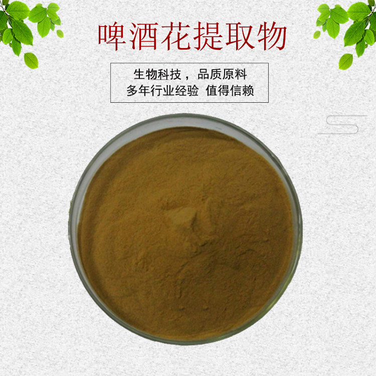 啤酒花提取物30:1啤酒花粉 啤酒花黄酮 量大从优 资质齐全 包邮