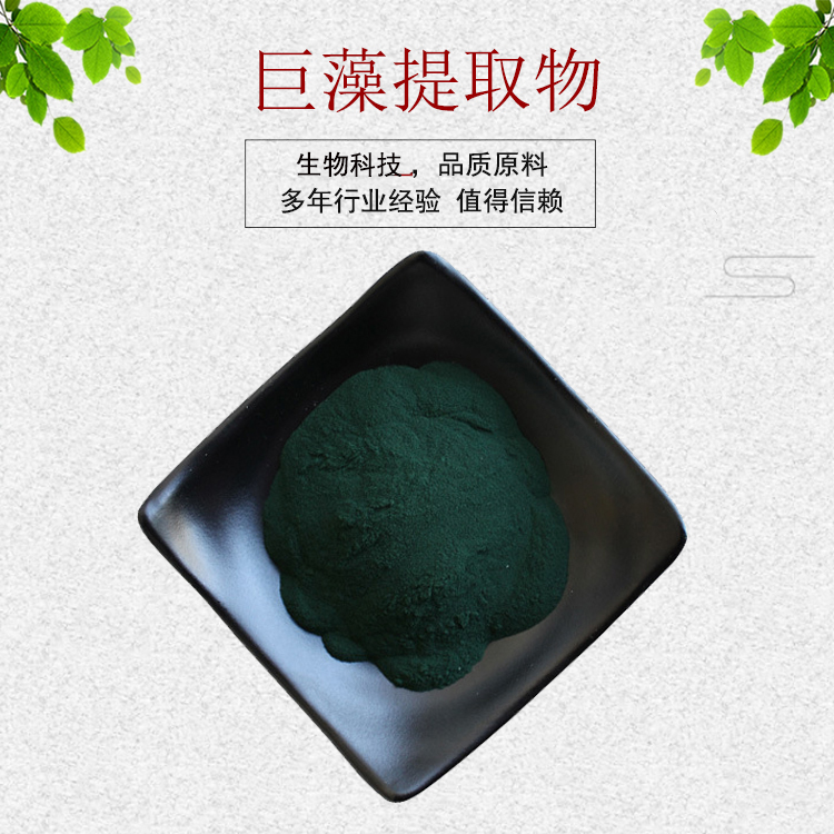 巨藻提取物30:1巨藻粉植物提取物量大从优资质齐全现货包邮