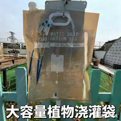 自动滴灌袋懒人浇花神器