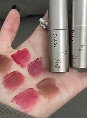 DIXI小银管唇釉丝绒哑光显白唇泥少女自然百搭直播新款彩妆批发