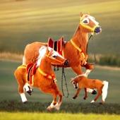 内蒙工艺品五蓄仿真小黄马毛绒动物模型马橱窗摆件儿童玩偶教道具