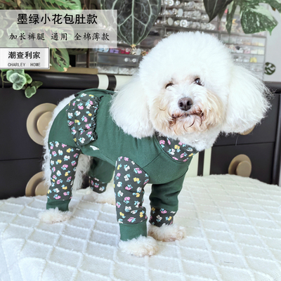 潮查利家泰迪比熊四脚衣服