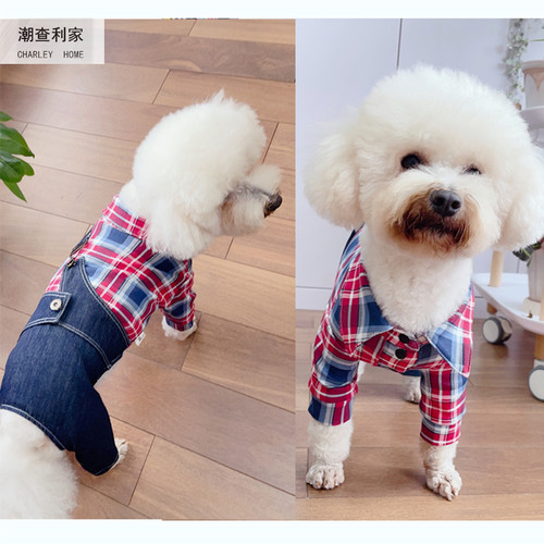 潮查利家泰迪比熊四脚衣服