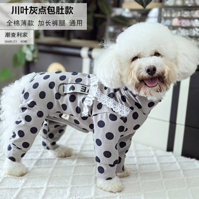 潮查利家泰迪比熊四脚衣服