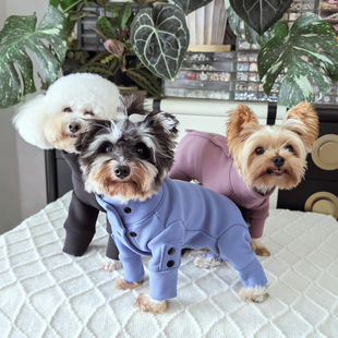 潮查利家宠物泰迪比熊狗秋冬加绒包肚高领保暖素色打底德绒冬牵引