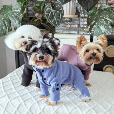 潮查利家泰迪比熊四脚衣服