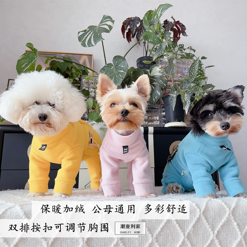 潮查利家泰迪比熊四脚衣服