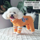 潮查利家宠物秋冬包肚衣服泰迪比熊猫咪小狗夹棉中厚牵引保暖打底