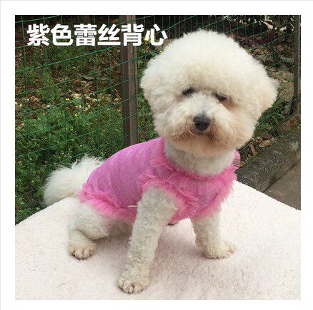 夏装宠物服装清凉蕾丝背心比熊贵宾泰迪马甲狗狗衣