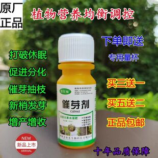 果树发枝素催芽剂苹果发枝素抽枝宝大樱桃发枝花卉苗木园艺促发芽