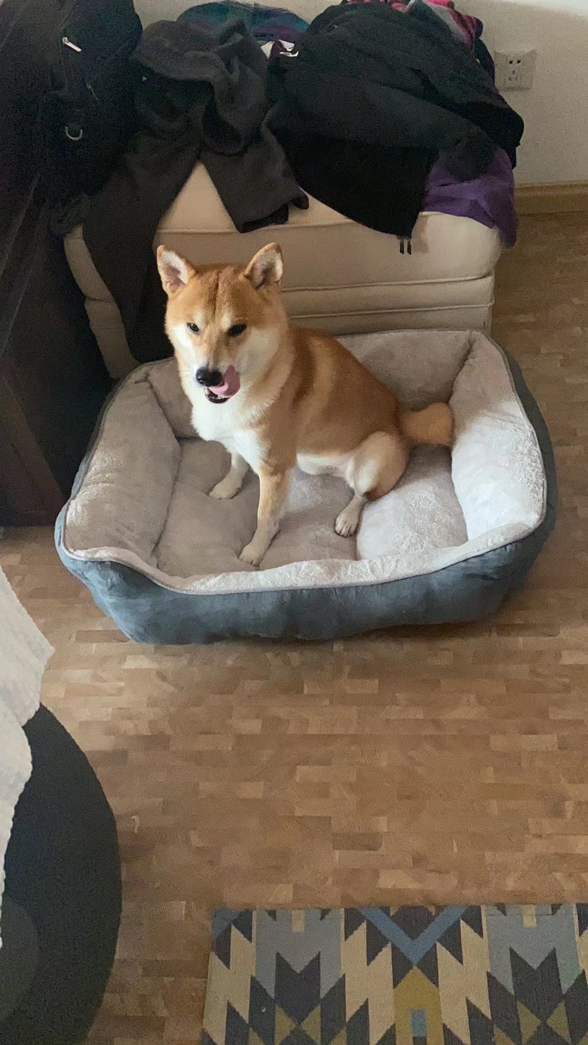 冬季加高加厚款4季中大型狗窝 出口美单高围栏窝垫