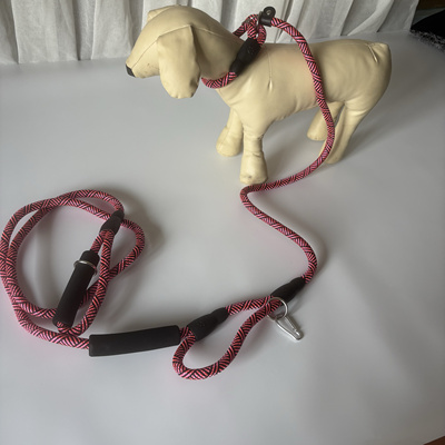 夏季外出遛狗绳结p绳跑步解放双手 跟随绳加粗加长多功能