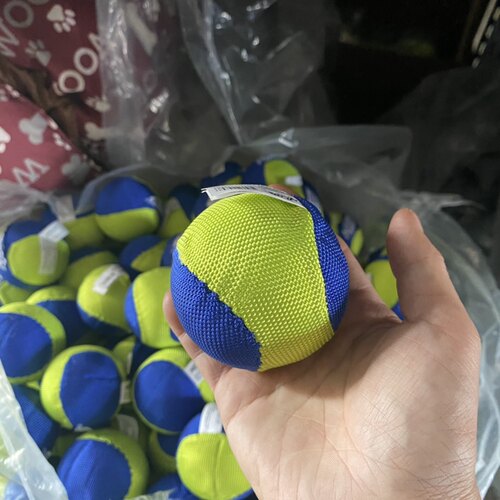 发音可爱风格陪伴小骨头