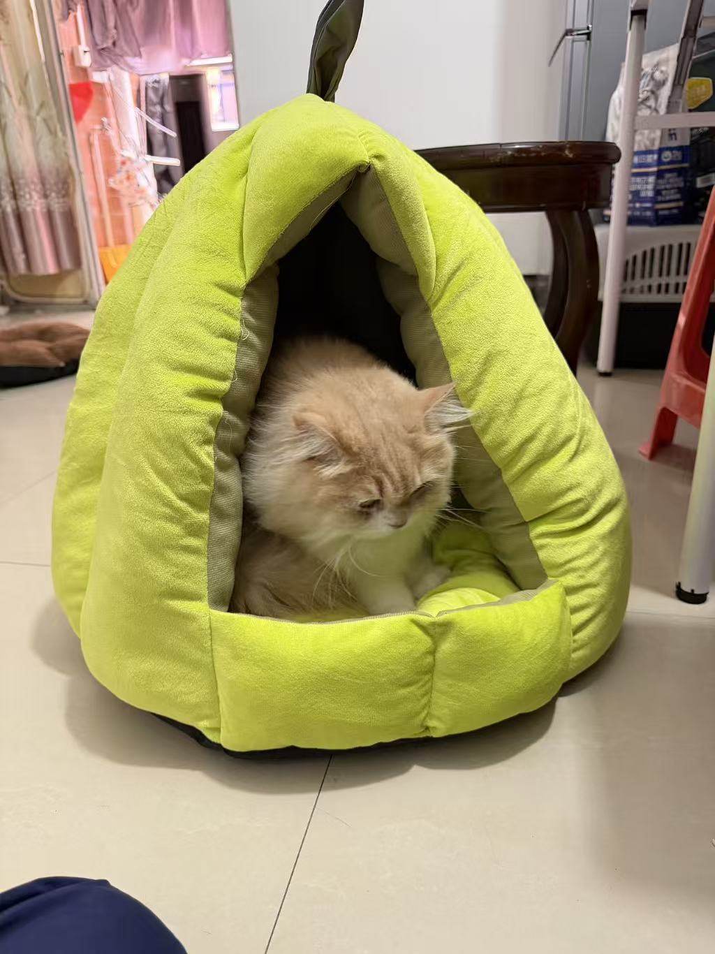 加厚特厚保暖 新款猫狗睡袋猫窝狗窝小宠物勇