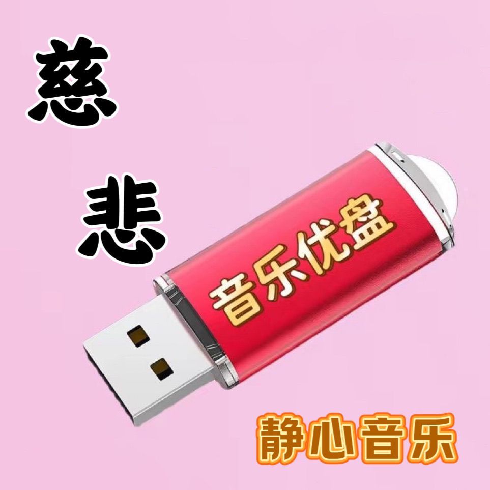 静心音乐U盘清境悠扬净化心灵歌曲内存卡念播机音箱收音机MP3优盘