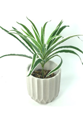 仿真白边吊兰花叶绿色线条草小颗植物墙园林绿化工程配材装饰壁挂