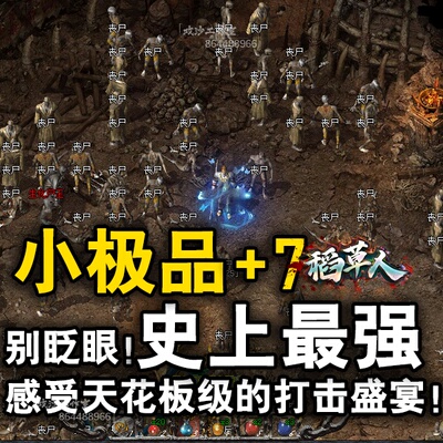 稻草人第五季复古电脑PC传奇单机版三职业技能BUFF爆肝耐玩级品+7