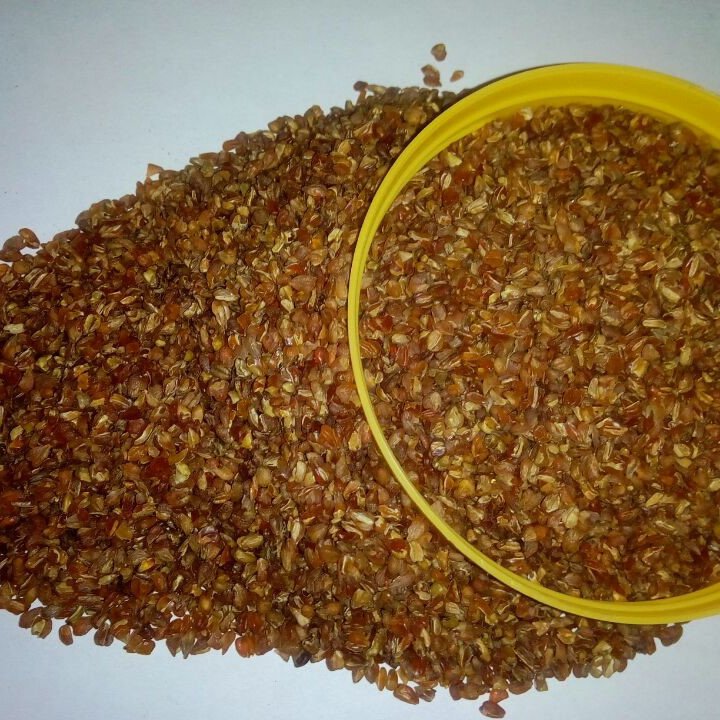 凉山特产红荞地黑苦荞胚芽全胚芽